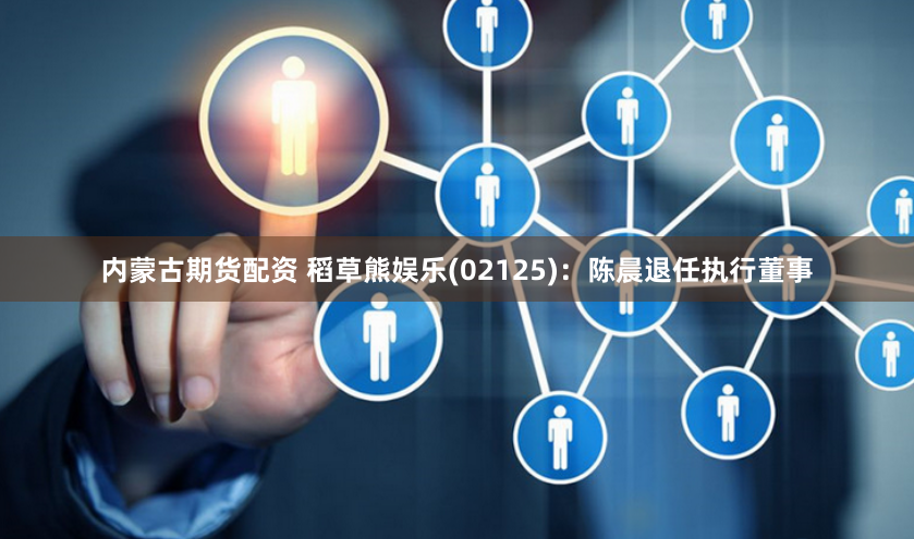 内蒙古期货配资 稻草熊娱乐(02125)：陈晨退任执行董事