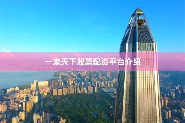 一家天下股票配资平台介绍